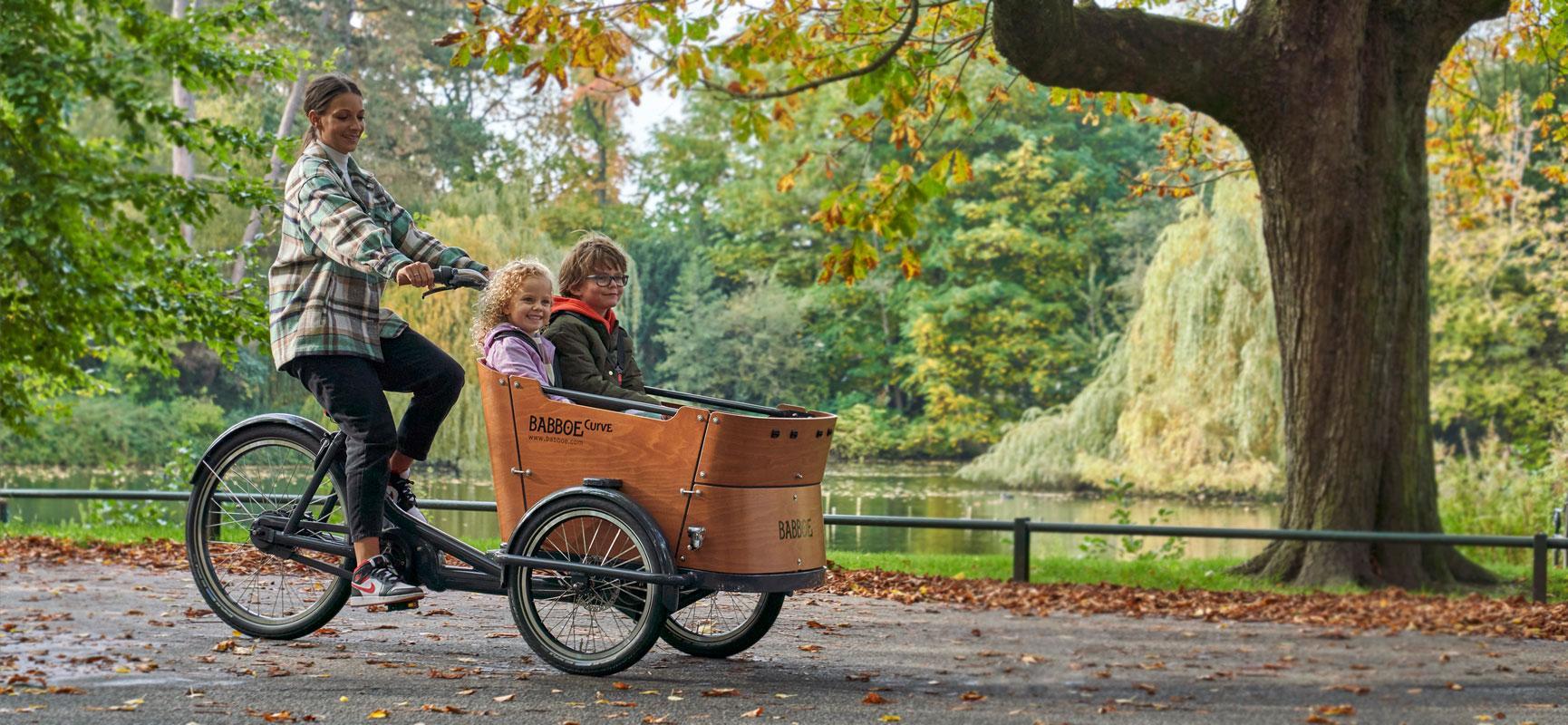 Lastenfahrrad-Elektro gebraucht kaufen