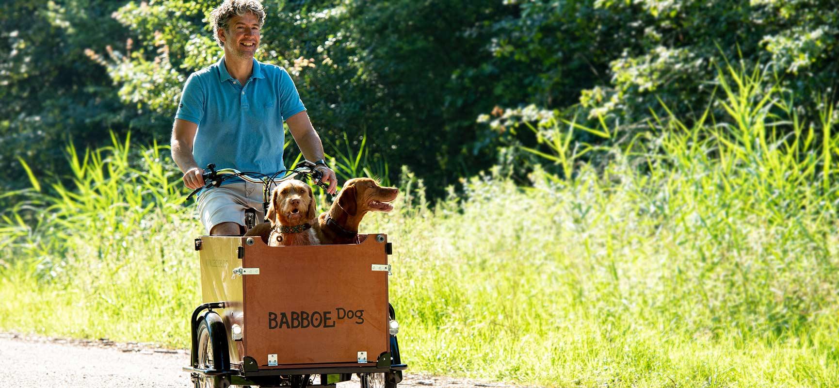 Fahrradfahren mit Hund: 3 Vorteile eines Hundelastenrads | Babboe
