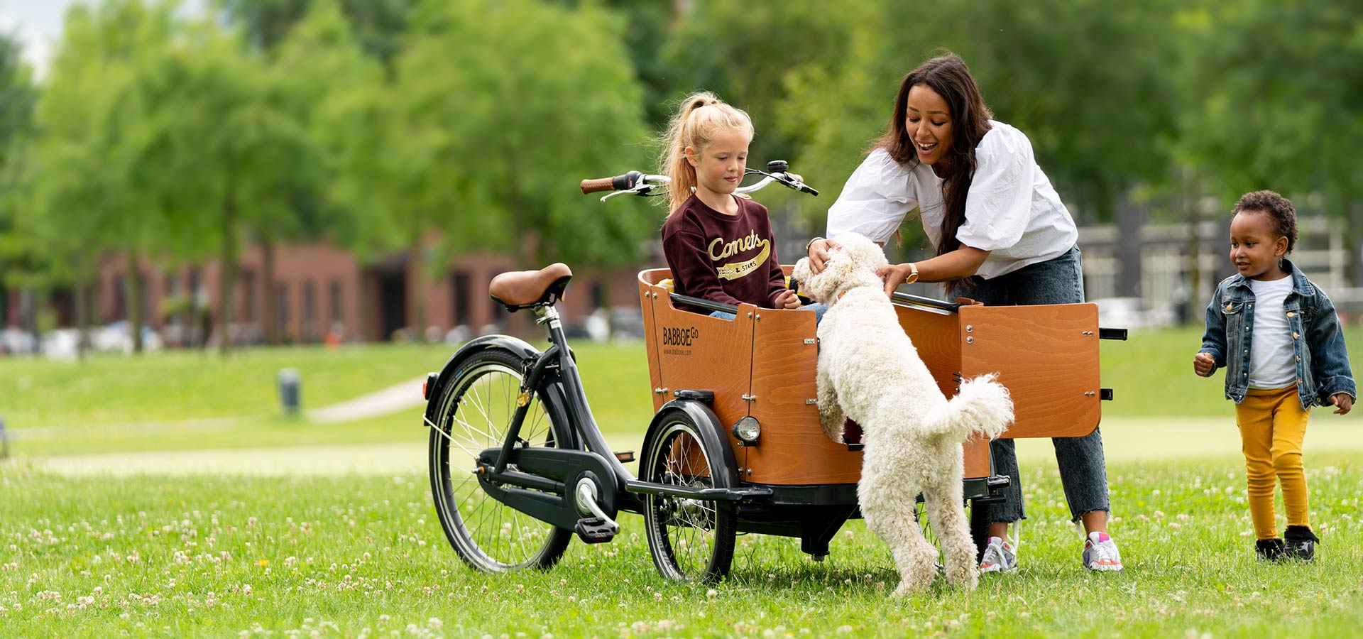 Babboe Go - Lastenfahrrad Hund Babboe Go - Lastenfahrrad Hund