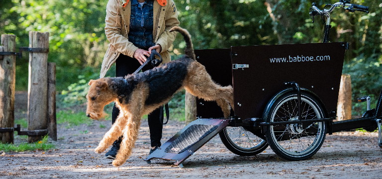 Bestes Lastenrad für Hunde