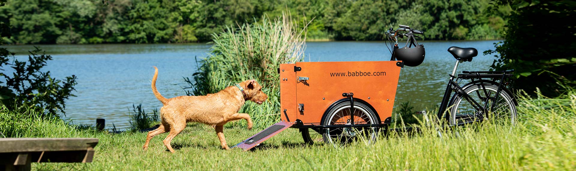 Hundezubehör für das Lastenfahrrad