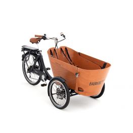 Babboe Carve-E