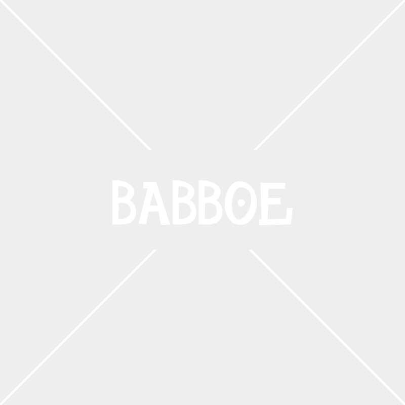 Maxi Cosi Fahrrad und Lastenrad Kindersitz bei Babboe kaufen